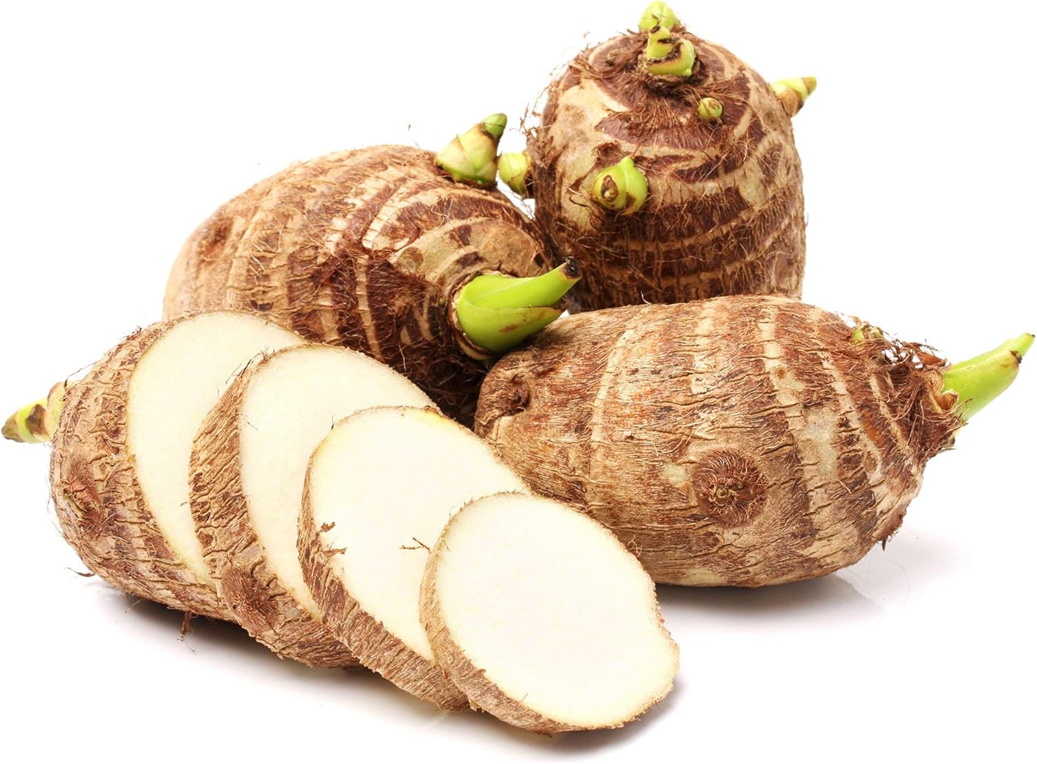 Colocasia Root (अरबी)