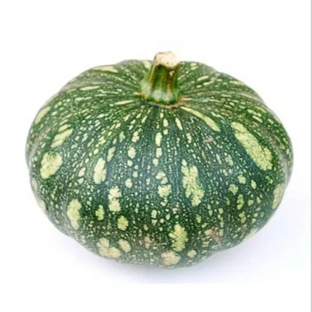 Pumpkin (कद्दू)