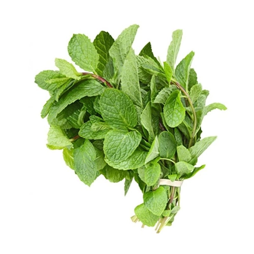 Mint Leaves (पुदीना)