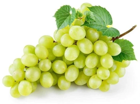 Grapes (अंगूर)