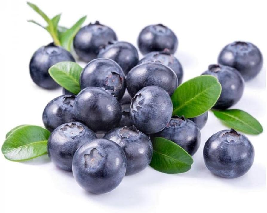 Blueberry (ब्लूबेरी)