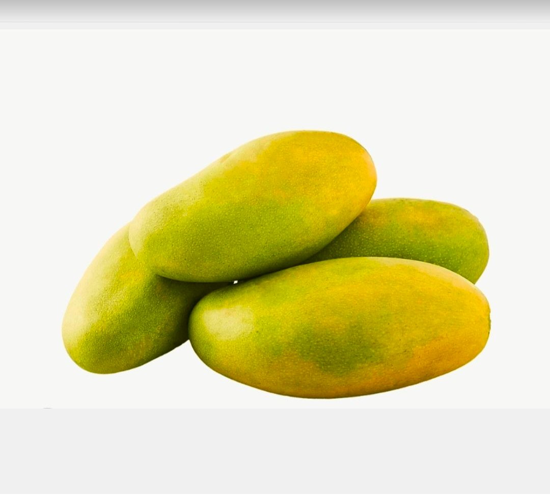 Dasheri mango 